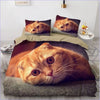 Capa De Edredon Scottish Fold Cat