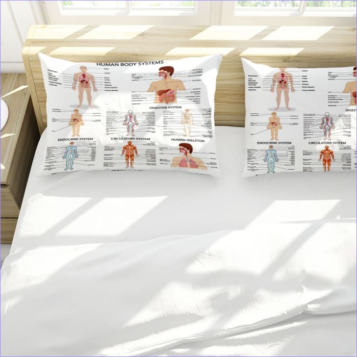 Capa De Edredom Anatomia Humana Original